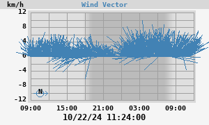 Wind Vector